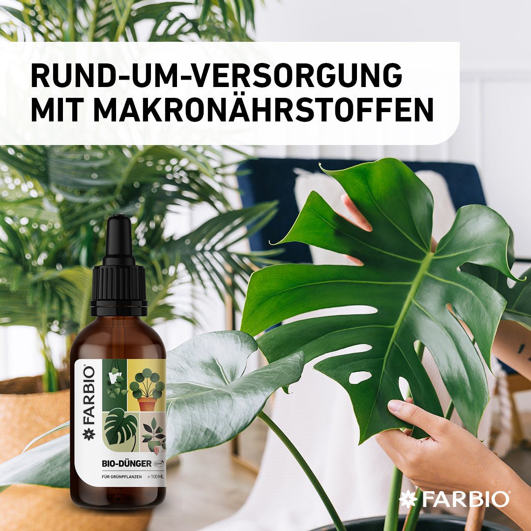 FARBIO® organic liquid fertilizer for green plants | Important nutrients for your plants
