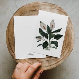 Natural paper postcard with botanical illustration of leaves.