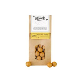 Kraft Bag 10 Pieces Seed Bomb