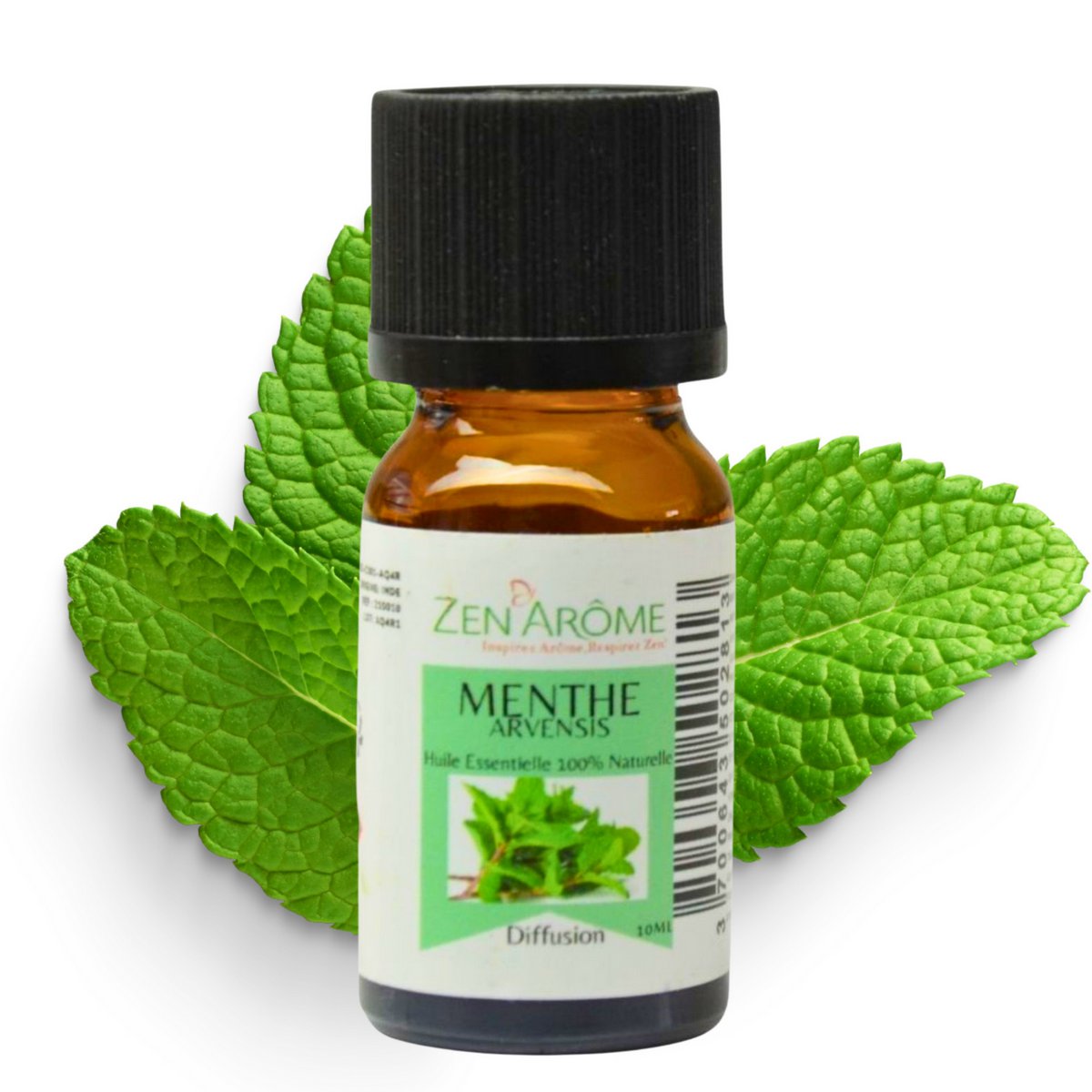Etherische olie - Mint Arvensis - 10 ml - Gebruik voor diffusie - Verpakt in Frankrijk