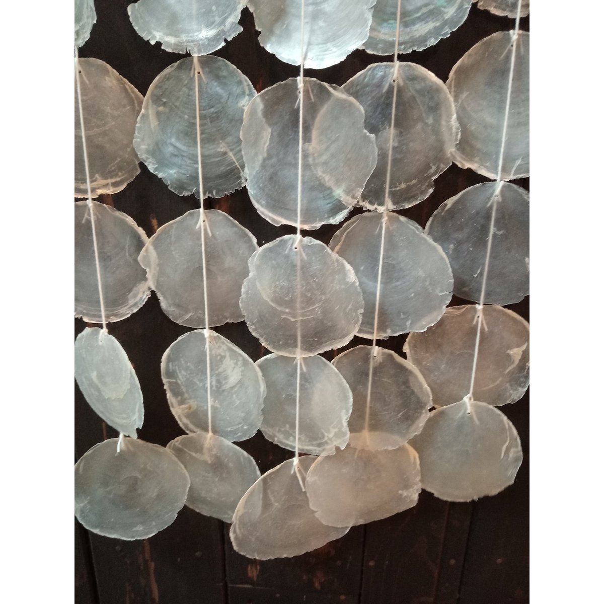 Shell pendant 1