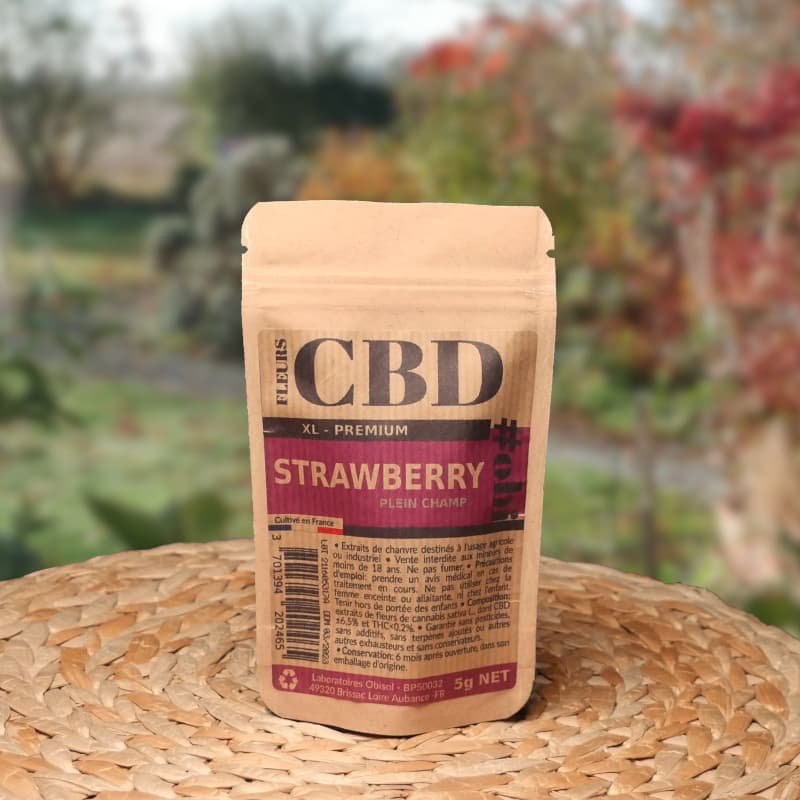 Kwiaty truskawki XL CBD