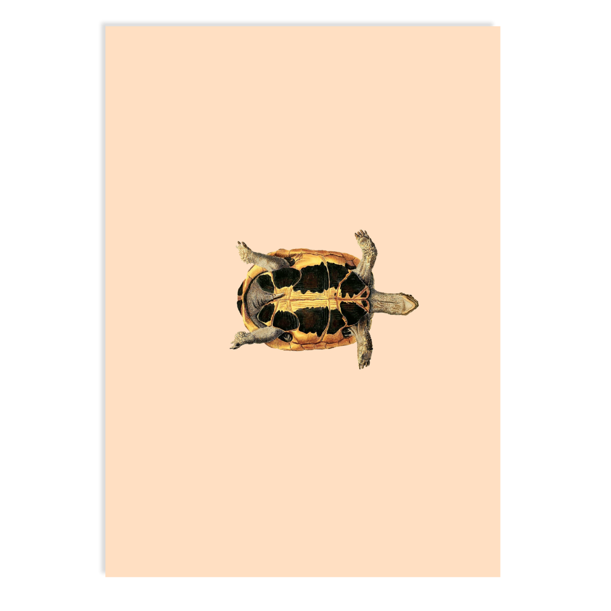 Postkarte Sleepy Head