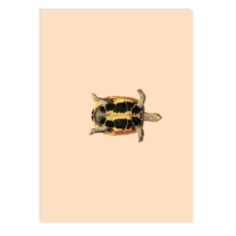 Postkarte Sleepy Head