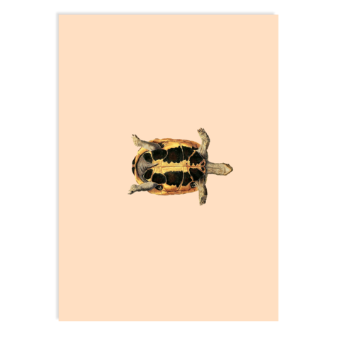 Postkarte Sleepy Head