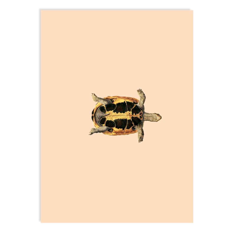 Postkarte Sleepy Head