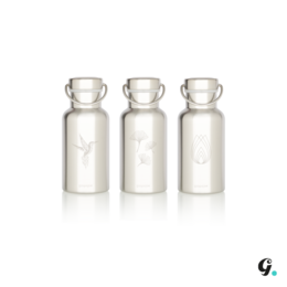Insulated stainless steel water bottles with engraved designs of a colibri, lotus, and ginkgo. The bottles are part of the Groovy model line and have a 350 ml capacity.