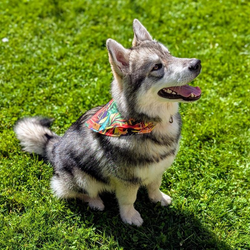 Collana tropicale e bandana