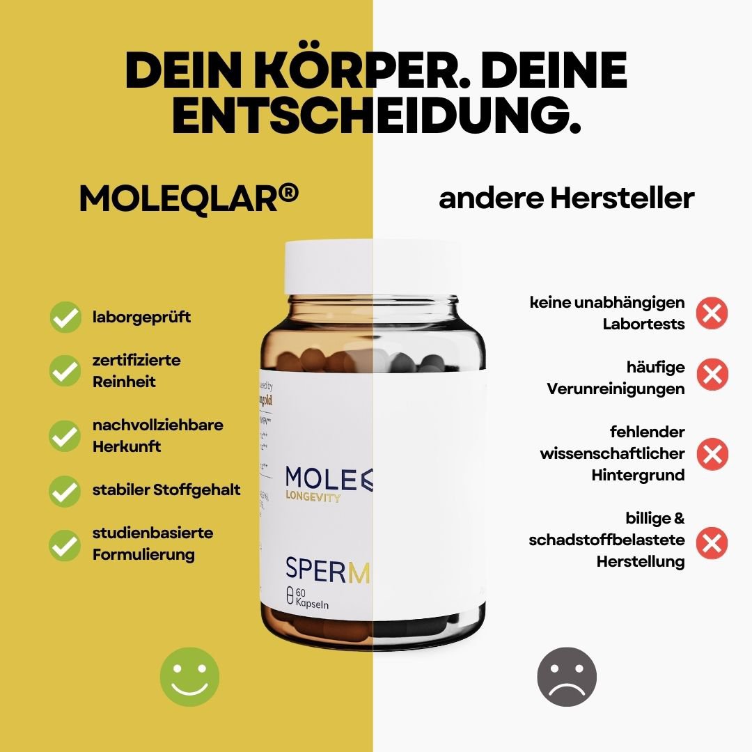 espermidina