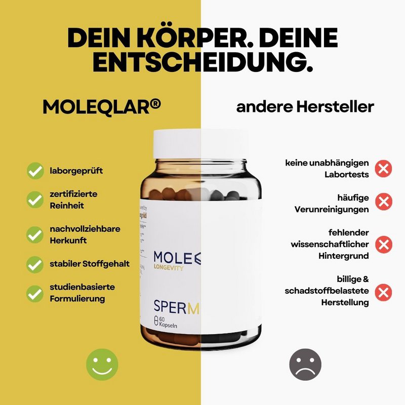 Spermidina