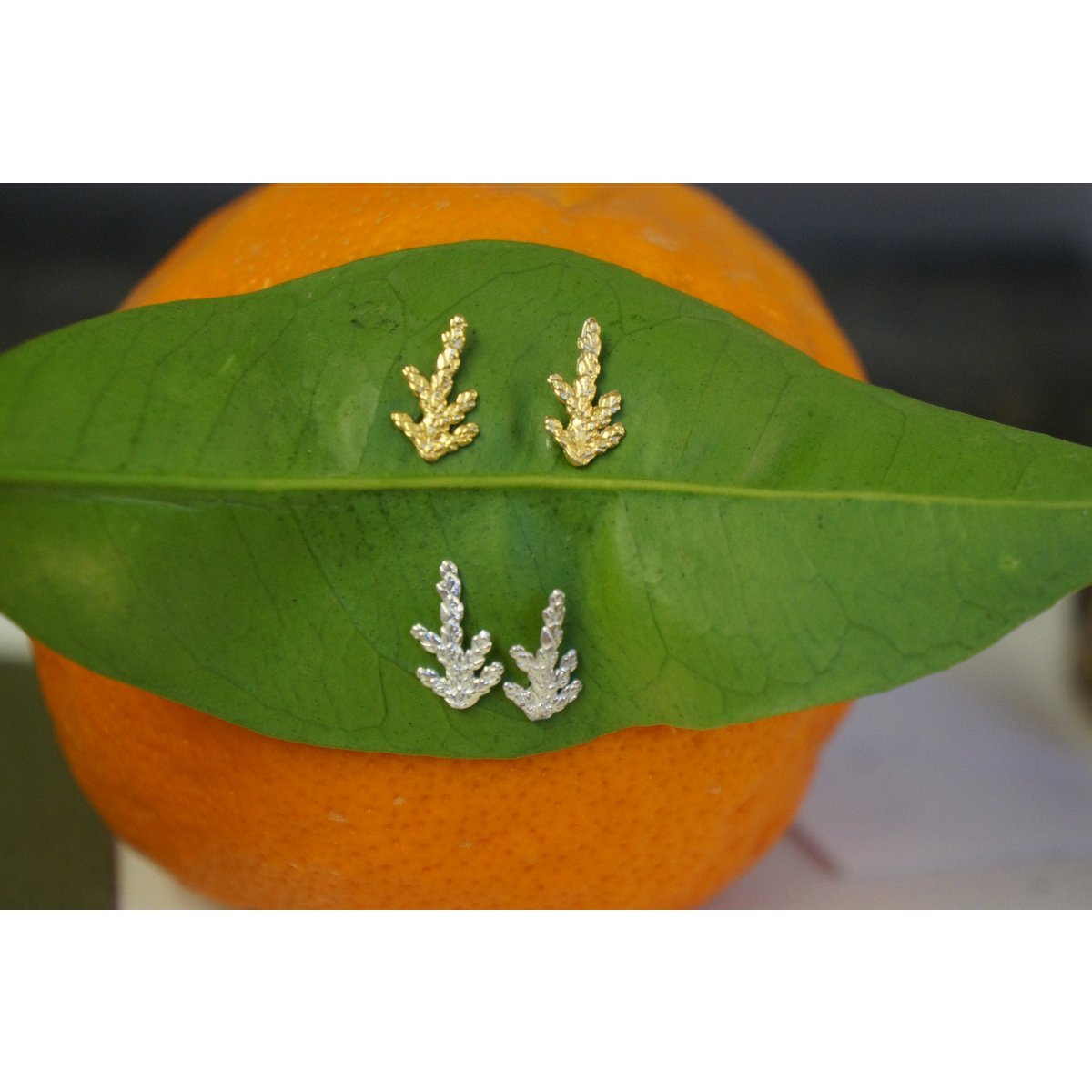 Cypress Leaf Earrings: Tiny Sterling Silver Studs (Hypoallergenic, Dainty)
