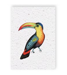 Colorful toucan bird growth chart card with vibrant tropical bird illustration.