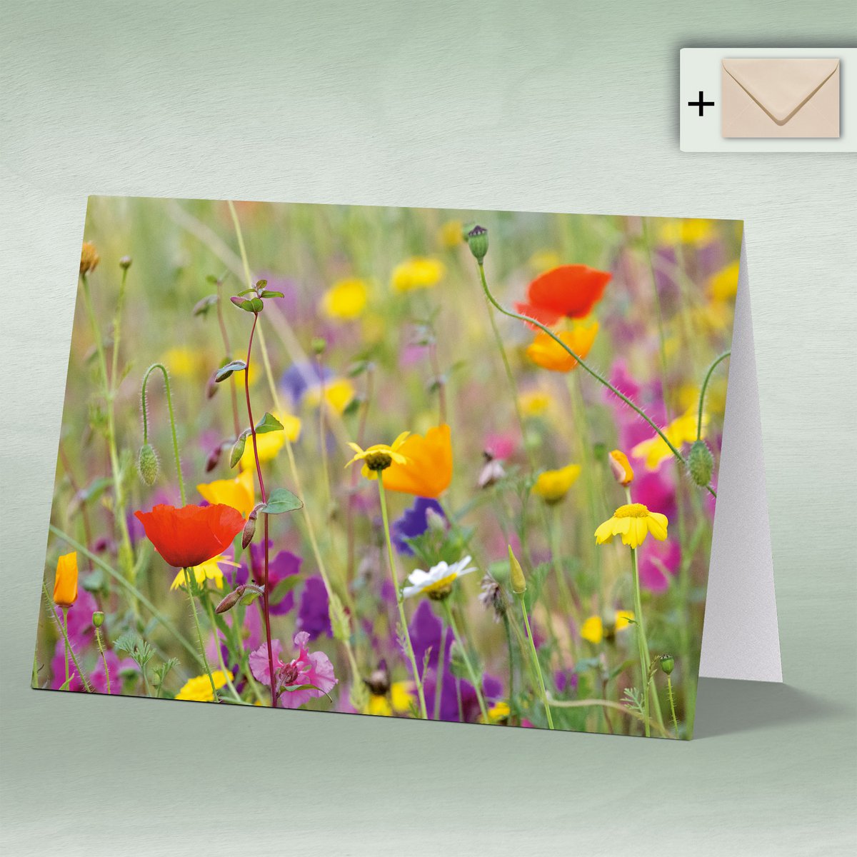 Carta di auguri, doppia carta Eye8166 Wildlower Wiese Mohn