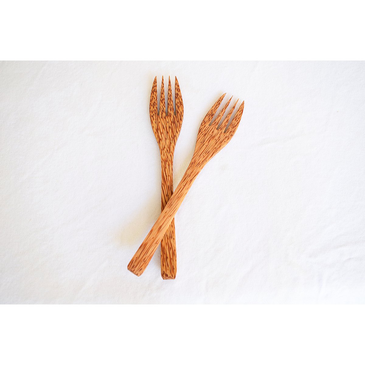 Coconut Wood Fork | Reusable & Biodegradable