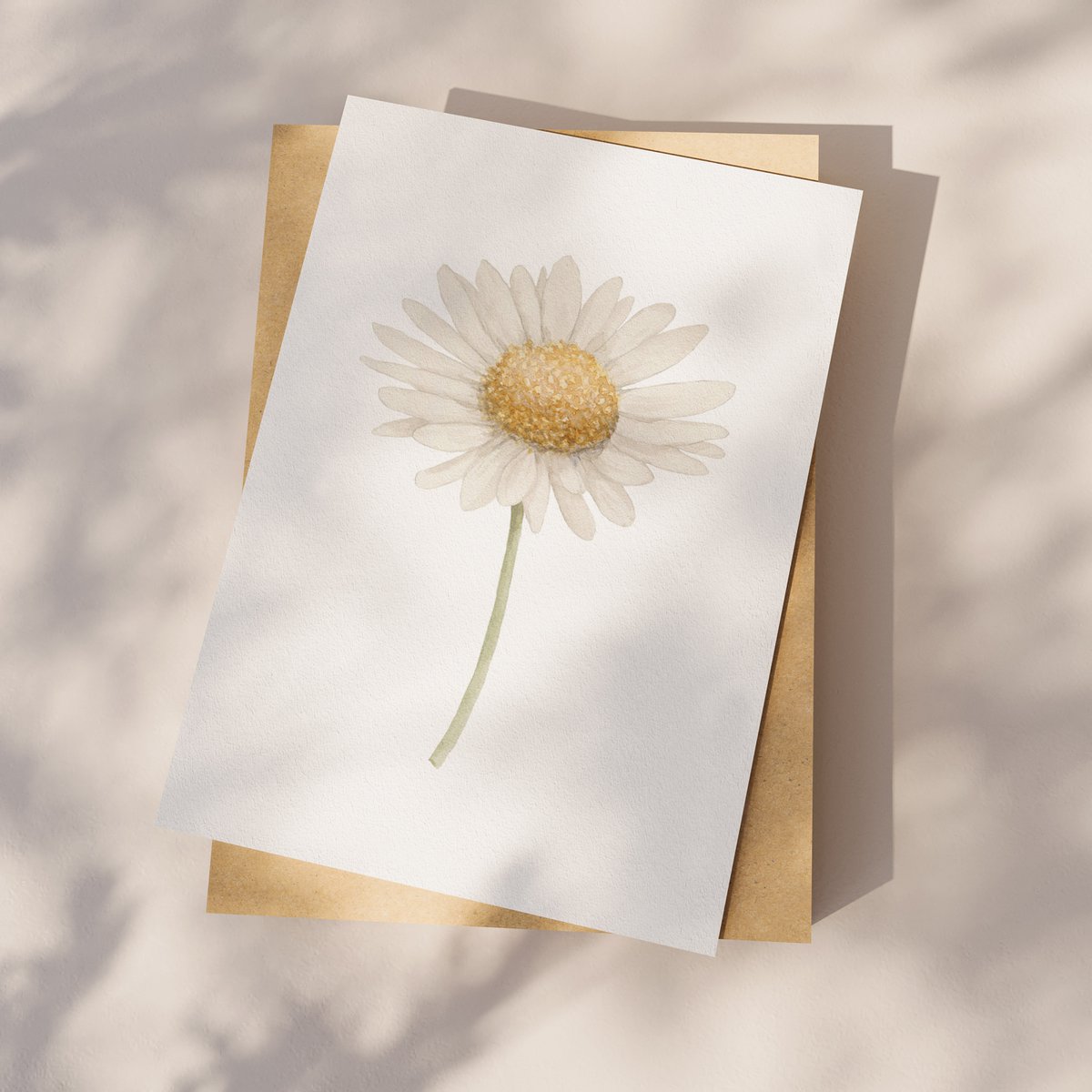 Postkarten-Gänseblümchen