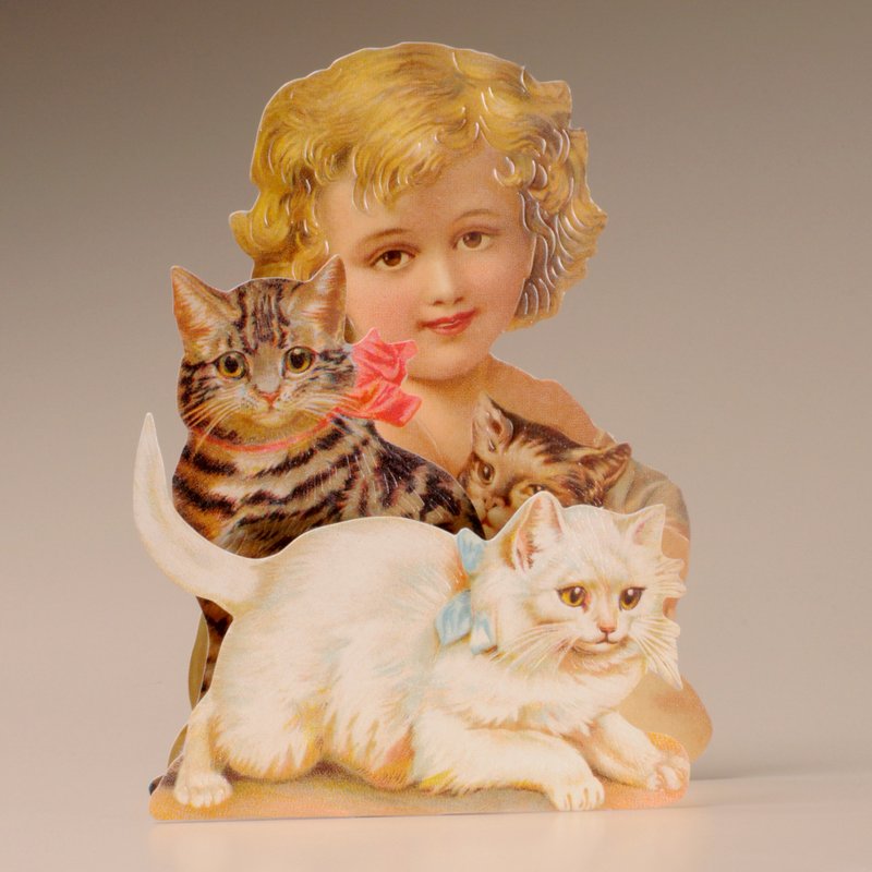 Mamelok TDC97177 Tarjeta 3D para todos los días Chica y Gatos