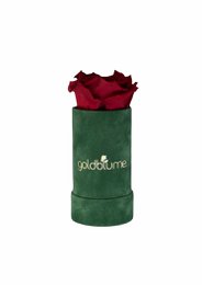 Velvet Green Collection