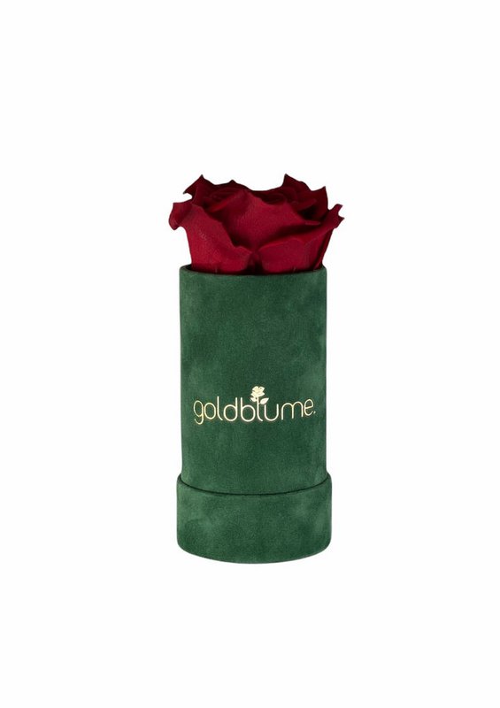 Colección Terciopelo Verde