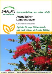 Limpiador de lámparas australianas