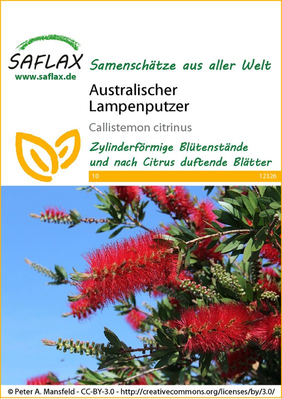 Nettoyer de lampes australien