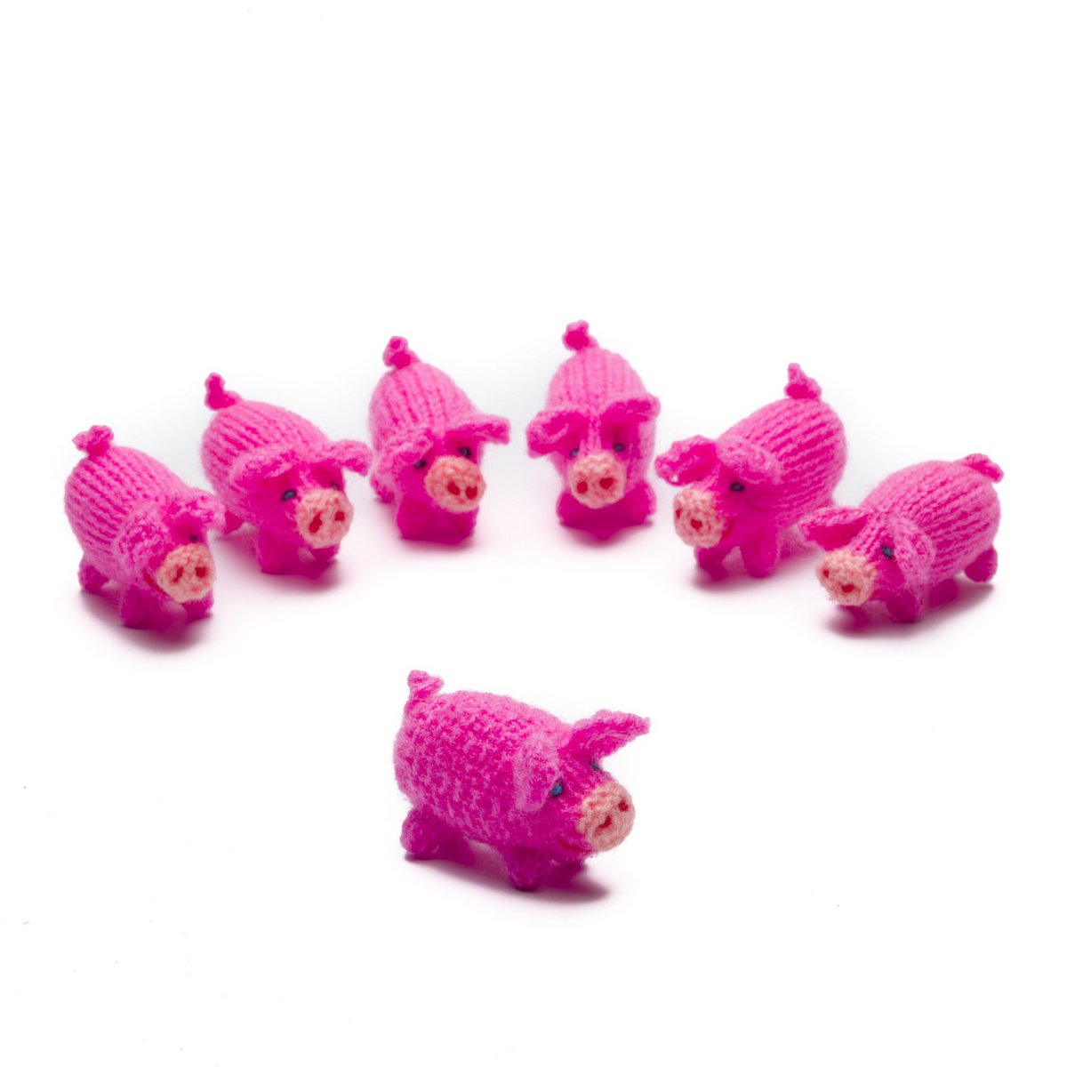 Cerdo de punto, pequeño