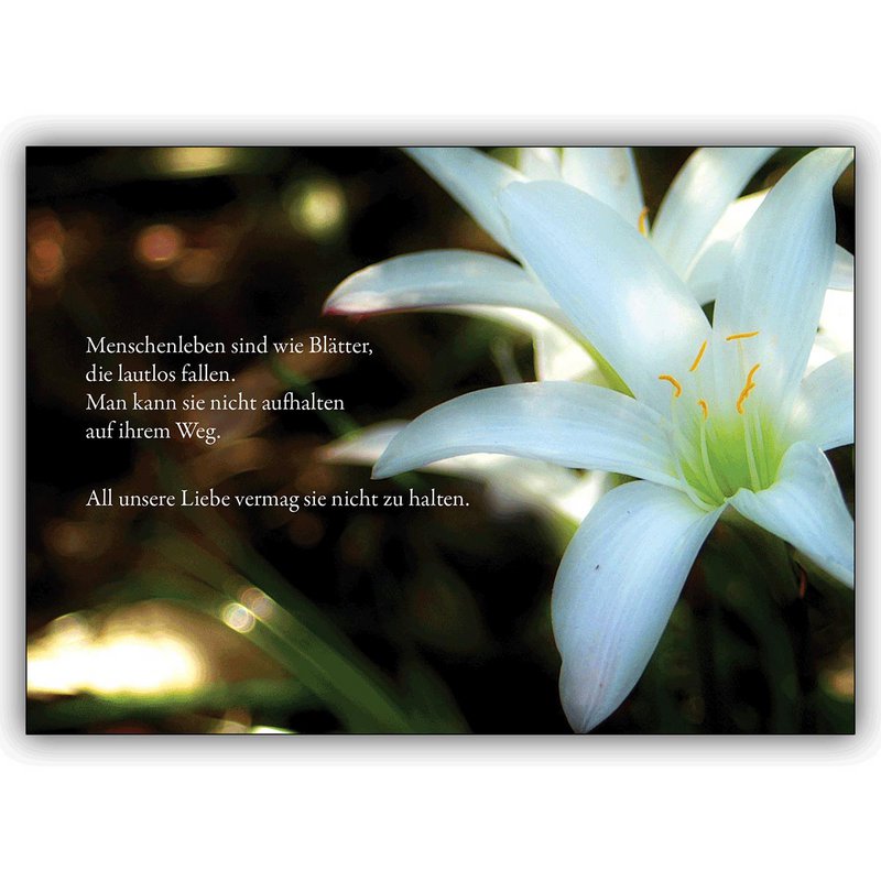 Compassionate saying sympathy card: human lives are like leaves that fall silently...