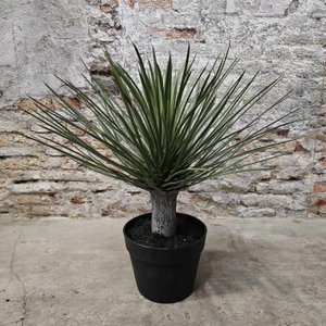 Plant yucca zijde 46xH50cm (40101)