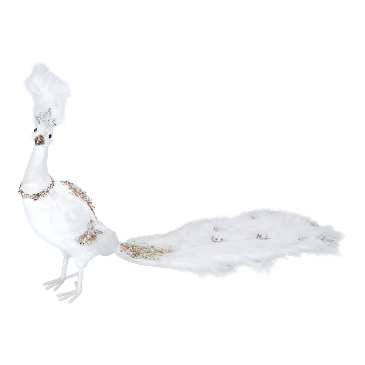 Pavo real - hielo