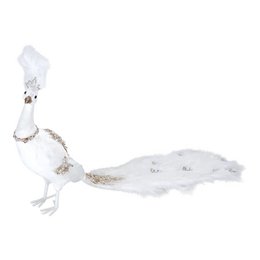 Pavo real - hielo