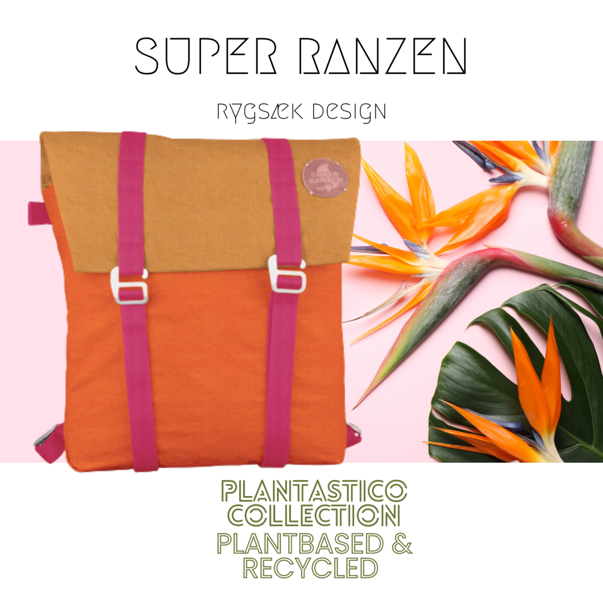Kwiat papugi Rolltop Plantastico