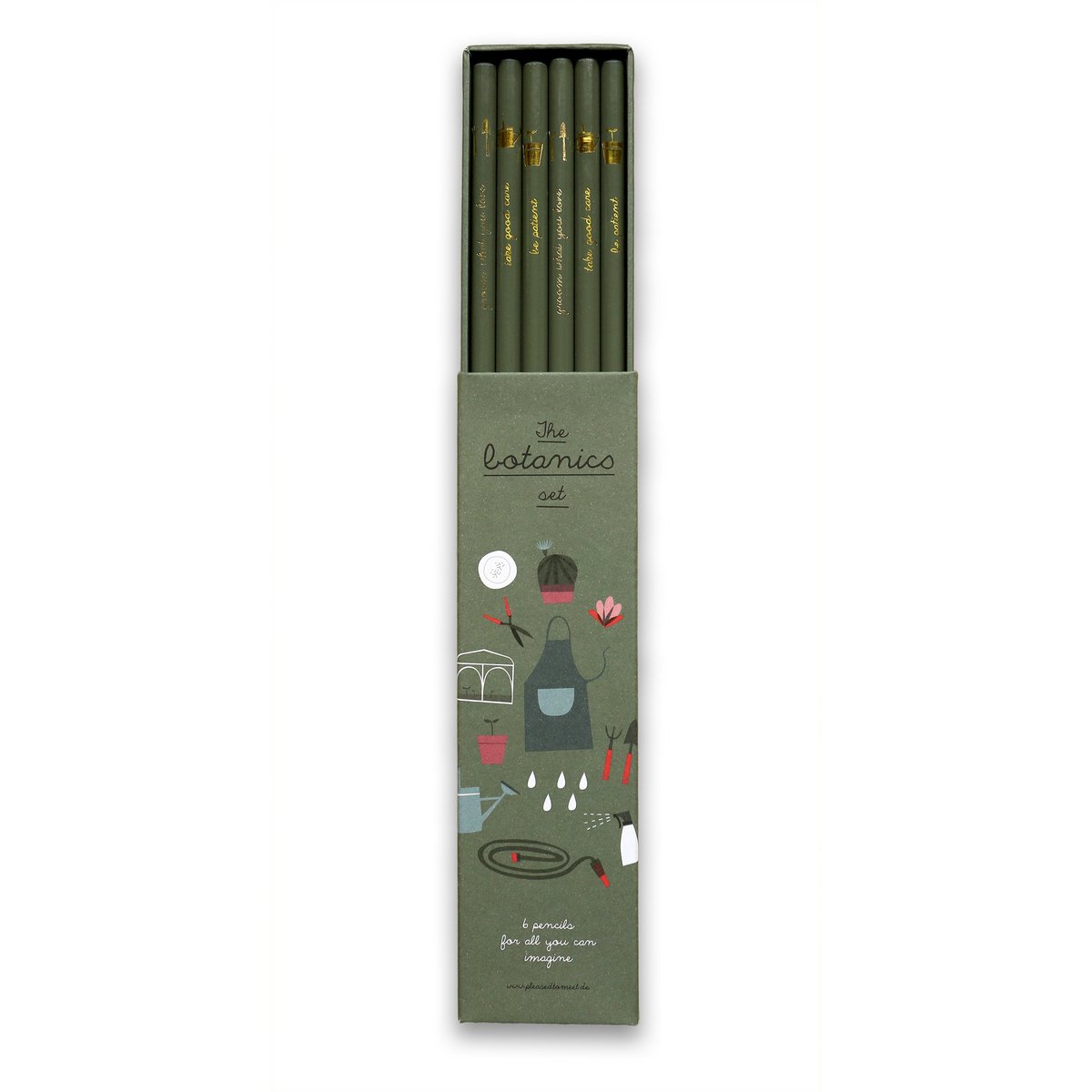 Ensemble de crayons de botanique