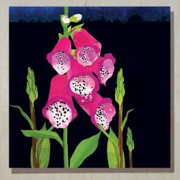 Foxglove-kort (blomsterkort)