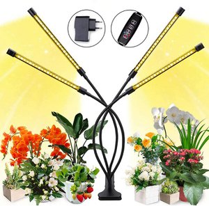 Grow lamp warm white - for flowering - with table clip - 50 x 8 cm