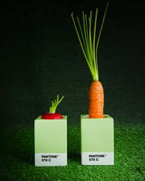 A set of 2 Pantone-branded candlesticks in various vibrant colors including yellow, orange, light pink, red, light green, green, light blue, and warm grey. The candlesticks have a simple, minimalist design and are presented on a green background.