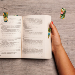 Art Déco, juego de etiquetas para libros.