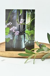A postcard with delicate pink flowers in a vintage glass vase, surrounded by lush green leaves.