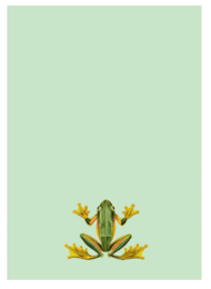 30x40
