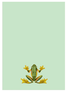 Notepad A5 Frog
