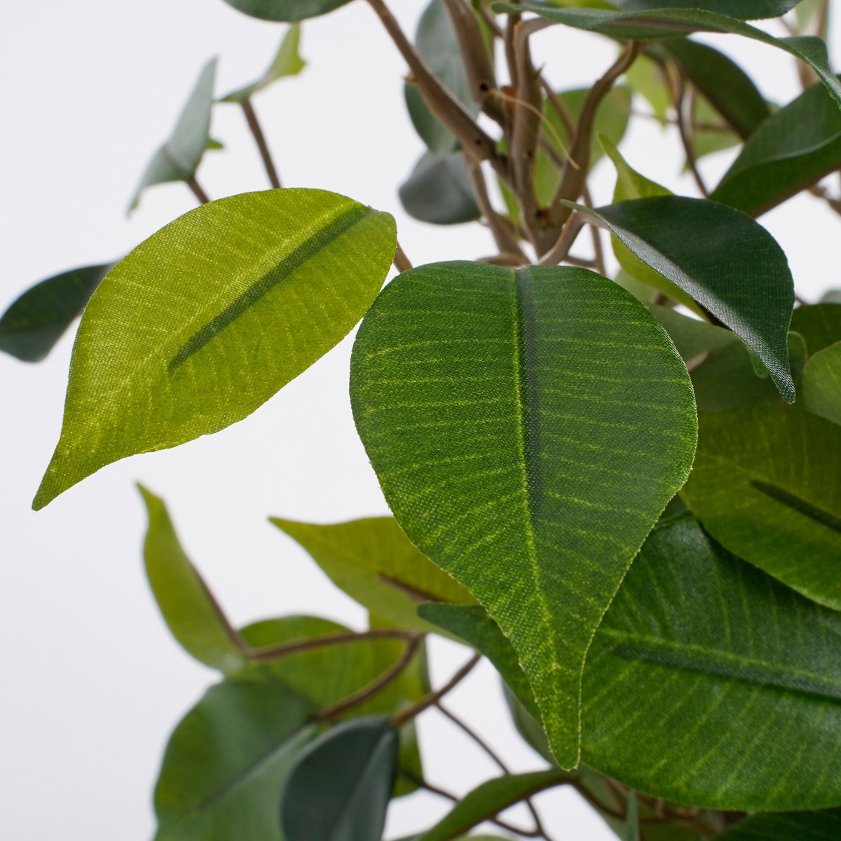 Kunstplant Ficus natasja Groen