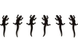 Lot de 6 porte-couteaux lézard en corne noire unie