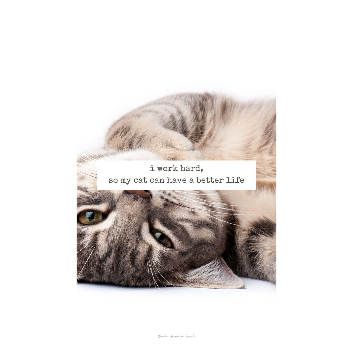maantijdposter | 20X29,5