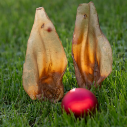 Royal Diamonds beef ears with shell 50 pieces