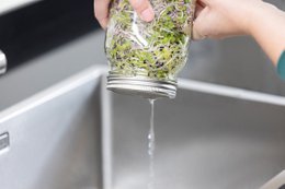 Sprouting jar set with double 1000ml jars
