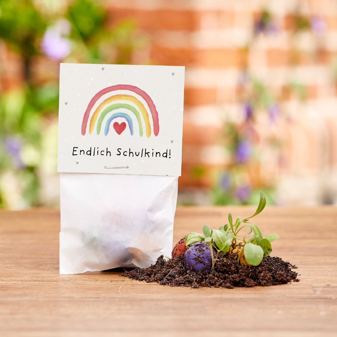 5er Blumenmurmeln im Pergaminbeutel - "Endlich Schulkind" -Einschulung