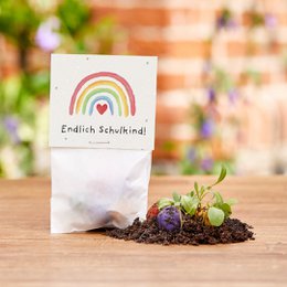 5er Blumenmurmeln im Pergaminbeutel - "Endlich Schulkind" -Einschulung