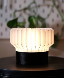 Luce portatile ricci