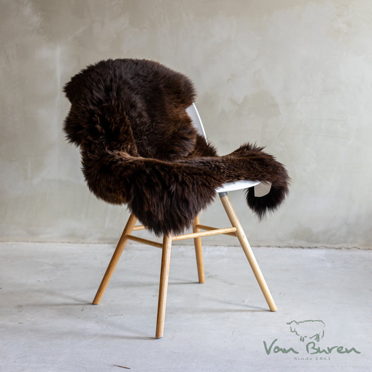 Brown Texel Schaffell | 4 Varianten