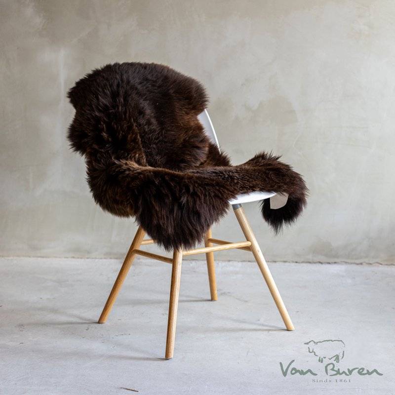 Brown Texel Schaffell | 4 Varianten