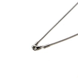 Snake mesh chain for Aromatherapy Necklace