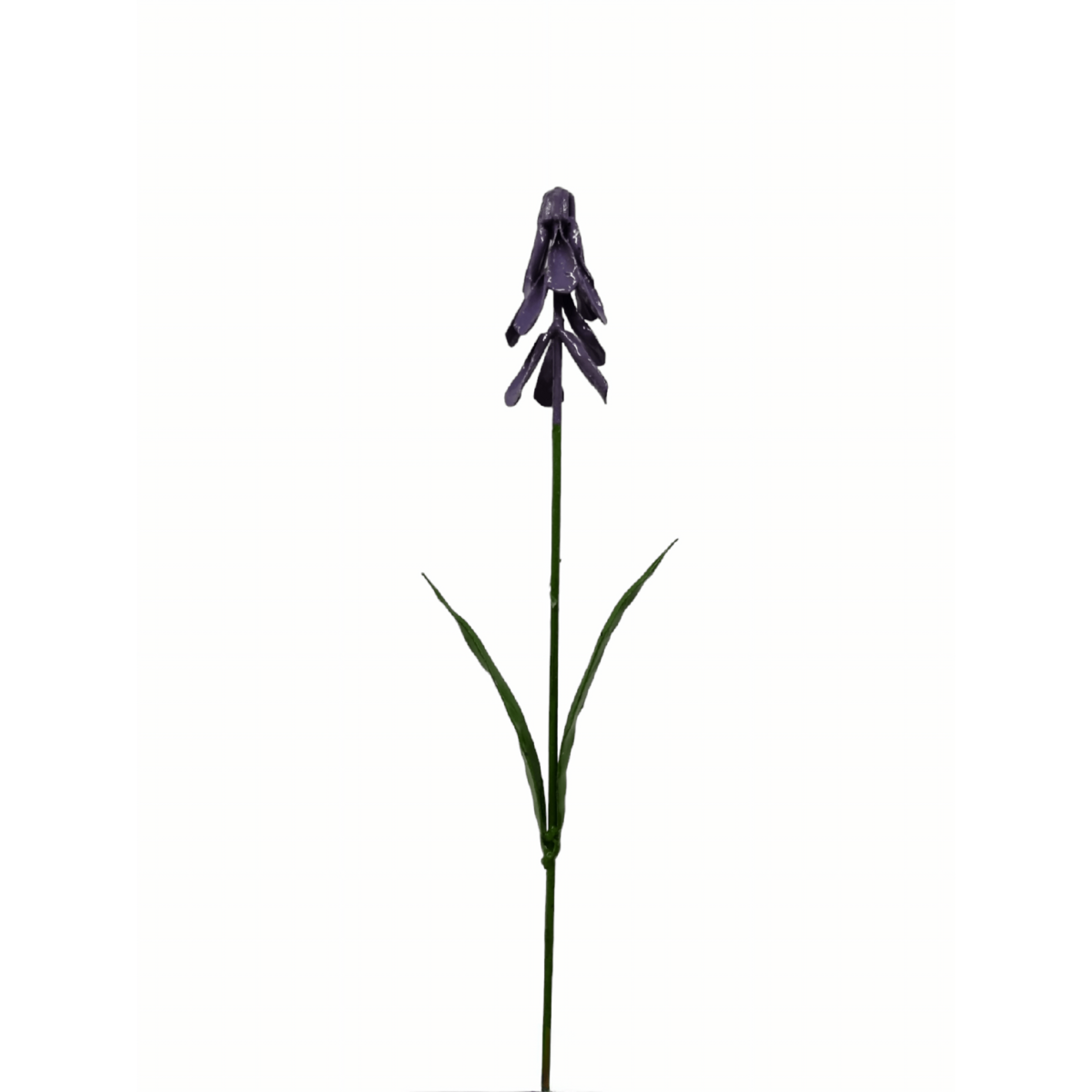 FLEUR DE JACINTHE DE RAISIN VIOLET MÉTAL